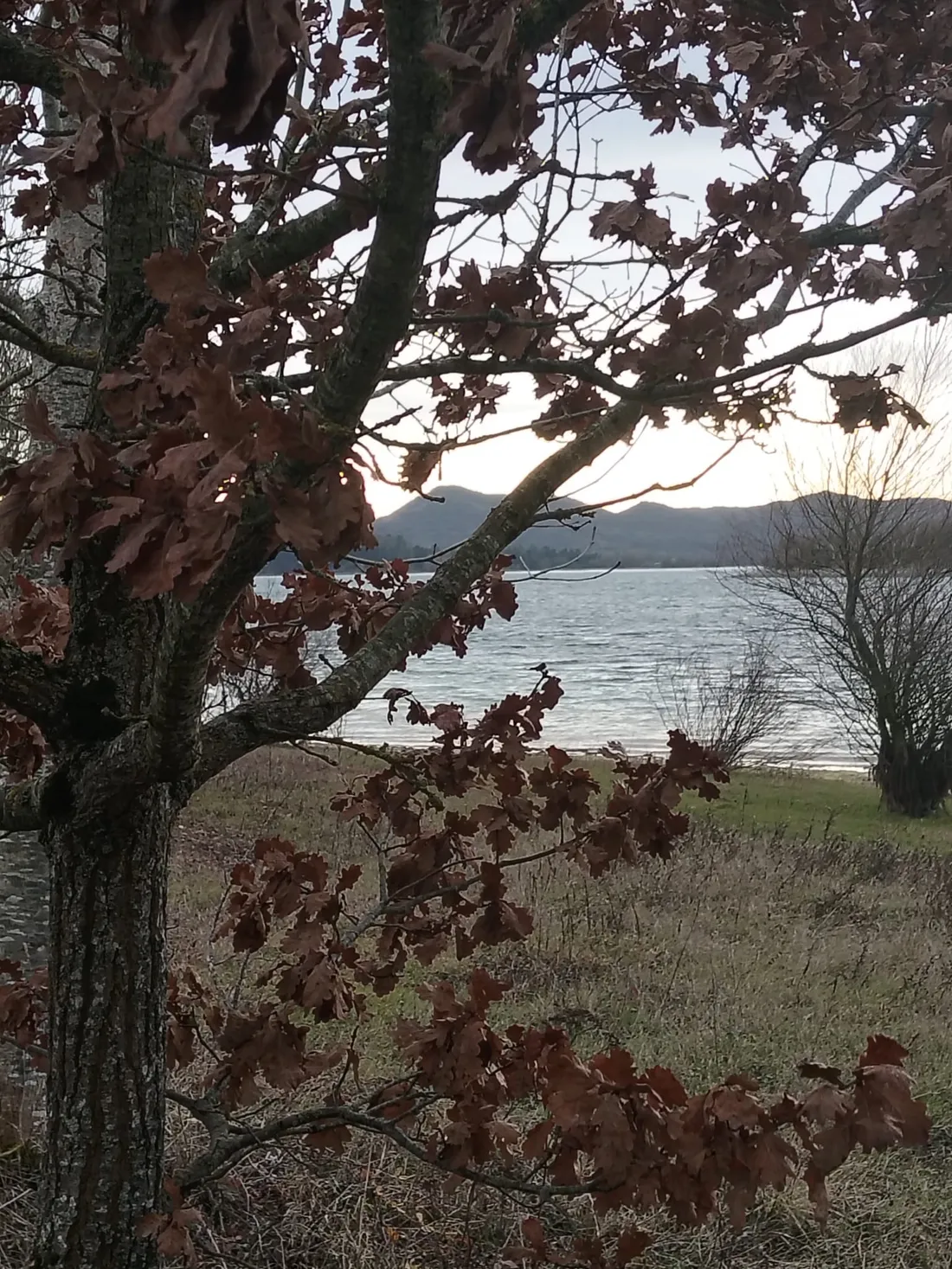 Landscape around Urrunaga reservoir