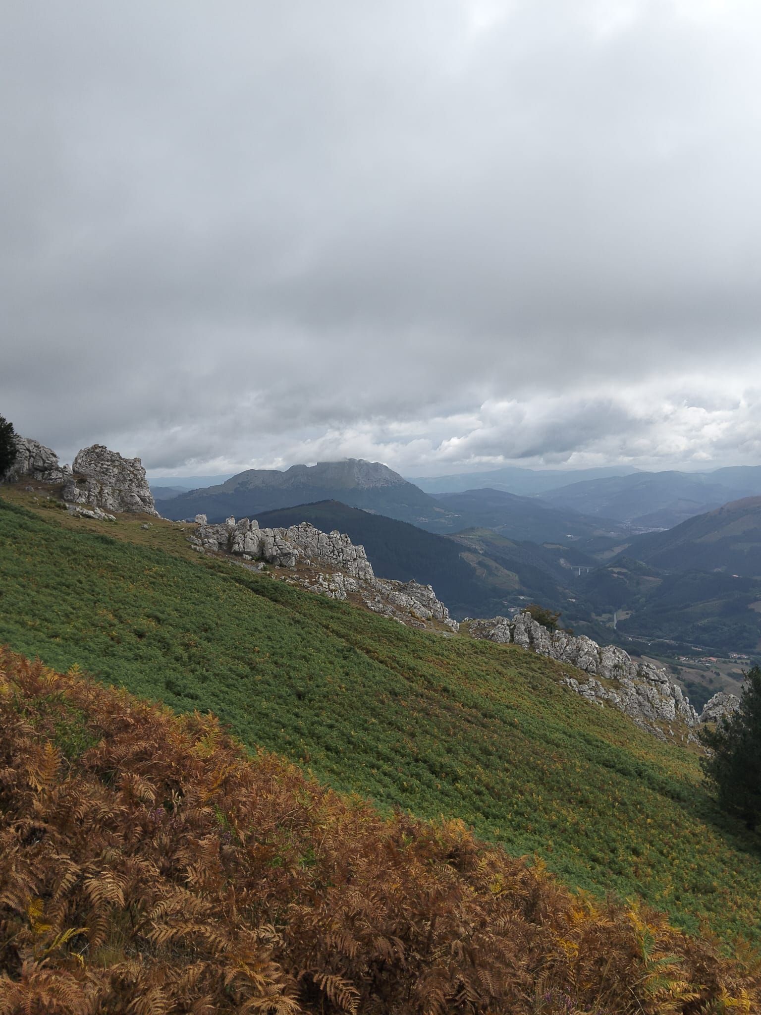 Urkiola: bosque y roca