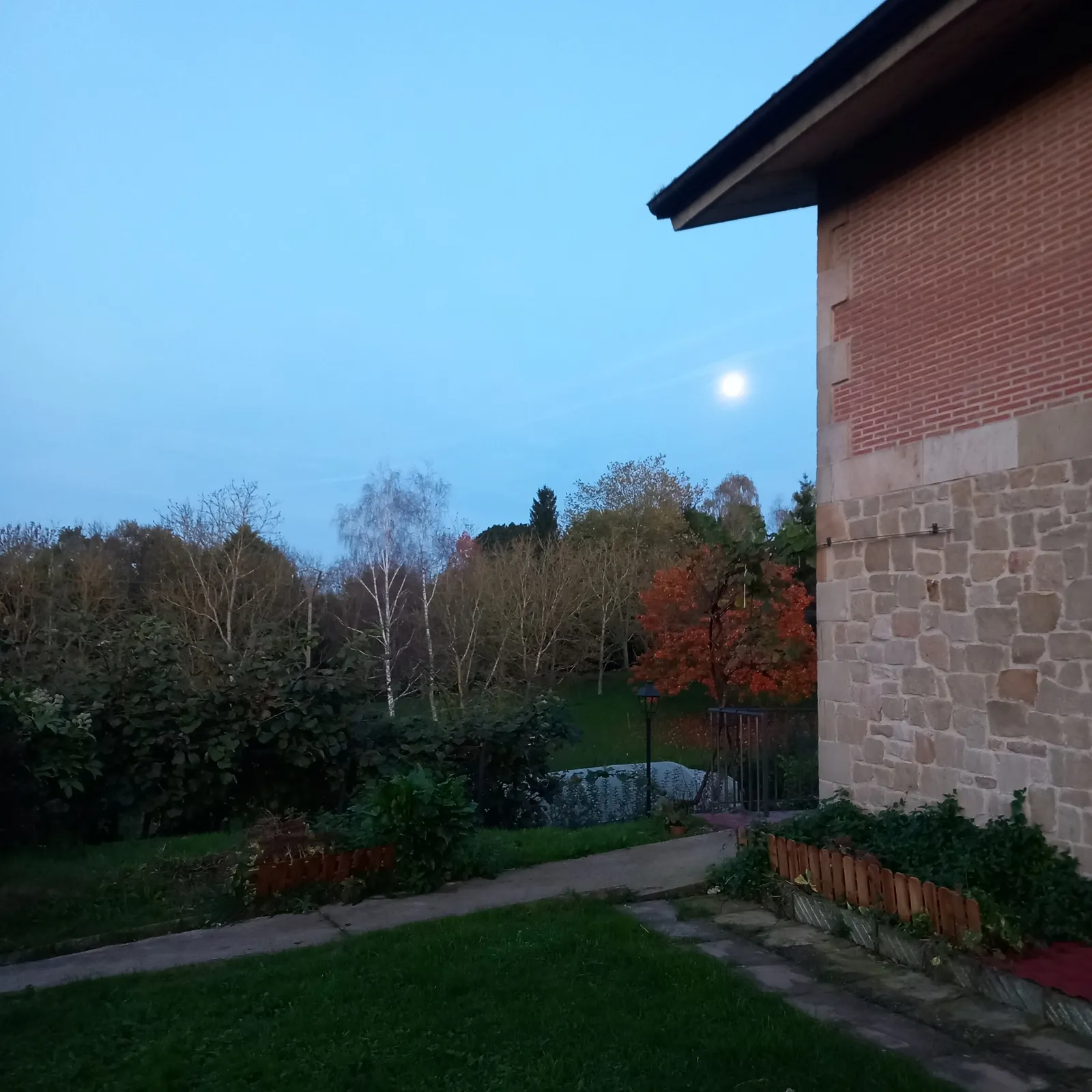 Árboles y pradera en el exterior de Solapetxea