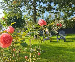 Rosas del jardín de Solapetxea