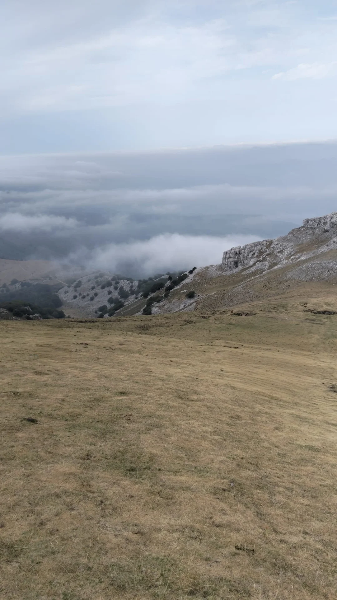 Paysage du Gorbeia